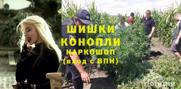 винт Новозыбков